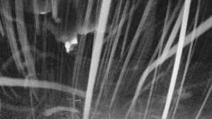 Skiareál Mezivodí - Ski Mezivodí - 23.2.2026 v 05:35 Skiareál Mezivodí - Ski Mezivodí - 23.2.2026 v 05:35