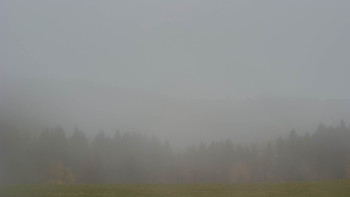 Snímek    3.11.2025 v 07:00