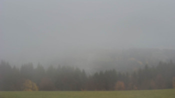 Snímek    3.11.2025 v 14:00