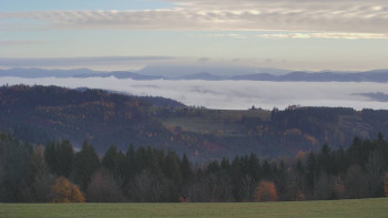 Snímek    4.11.2025 v 08:00