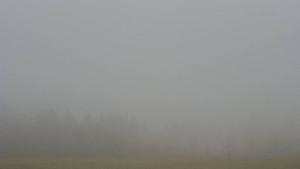 Bludný - Rajnochovice Troják - Bludný - Rajnochovice Troják - 15.11.2025 v 13:30 Bludný - Rajnochovice Troják - Bludný - Rajnochovice Troják - 15.11.2025 v 13:30