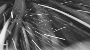 Bludný - Rajnochovice Troják - Bludný - Rajnochovice Troják - 15.2.2026 v 01:30 Bludný - Rajnochovice Troják - Bludný - Rajnochovice Troják - 15.2.2026 v 01:30