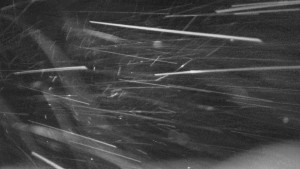 Bludný - Rajnochovice Troják - Bludný - Rajnochovice Troják - 15.2.2026 v 04:00 Bludný - Rajnochovice Troják - Bludný - Rajnochovice Troják - 15.2.2026 v 04:00