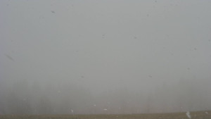 Bludný - Rajnochovice Troják - Bludný - Rajnochovice Troják - 17.3.2026 v 08:00 Bludný - Rajnochovice Troják - Bludný - Rajnochovice Troják - 17.3.2026 v 08:00