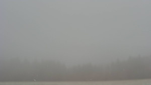 Bludný - Rajnochovice Troják - Bludný - Rajnochovice Troják - 17.3.2026 v 09:00 Bludný - Rajnochovice Troják - Bludný - Rajnochovice Troják - 17.3.2026 v 09:00