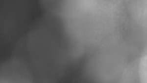 Bludný - Rajnochovice Troják - Bludný - Rajnochovice Troják - 26.3.2026 v 05:00 Bludný - Rajnochovice Troják - Bludný - Rajnochovice Troják - 26.3.2026 v 05:00