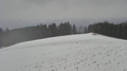 Bludný - Rajnochovice Troják