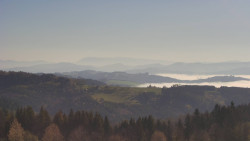 Bludný - Rajnochovice Troják