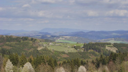 Bludný - Rajnochovice Troják