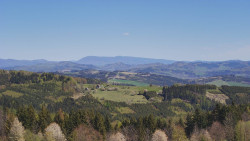 Bludný - Rajnochovice Troják