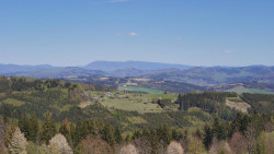 Bludný - Rajnochovice Troják