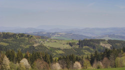 Bludný - Rajnochovice Troják