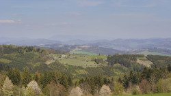 Bludný - Rajnochovice Troják