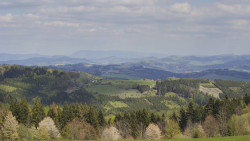 Bludný - Rajnochovice Troják