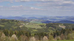 Bludný - Rajnochovice Troják