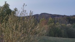 Bludný - Rajnochovice Troják