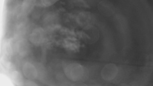 Bludný - Rajnochovice Troják - Bludný - Rajnochovice Troják - 16.4.2024 v 00:00 Bludný - Rajnochovice Troják - Bludný - Rajnochovice Troják - 16.4.2024 v 00:00