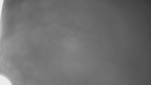 Bludný - Rajnochovice Troják - Bludný - Rajnochovice Troják - 16.4.2024 v 01:00 Bludný - Rajnochovice Troják - Bludný - Rajnochovice Troják - 16.4.2024 v 01:00