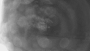 Bludný - Rajnochovice Troják - Bludný - Rajnochovice Troják - 16.4.2024 v 03:00 Bludný - Rajnochovice Troják - Bludný - Rajnochovice Troják - 16.4.2024 v 03:00