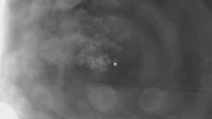 Bludný - Rajnochovice Troják - Bludný - Rajnochovice Troják - 16.4.2024 v 04:00 Bludný - Rajnochovice Troják - Bludný - Rajnochovice Troják - 16.4.2024 v 04:00