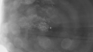 Bludný - Rajnochovice Troják - Bludný - Rajnochovice Troják - 16.4.2024 v 05:00 Bludný - Rajnochovice Troják - Bludný - Rajnochovice Troják - 16.4.2024 v 05:00