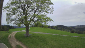 Bludný - Rajnochovice Troják - Bludný - Rajnochovice Troják - 16.4.2024 v 17:00 Bludný - Rajnochovice Troják - Bludný - Rajnochovice Troják - 16.4.2024 v 17:00