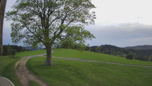 Bludný - Rajnochovice Troják - Bludný - Rajnochovice Troják - 16.4.2024 v 18:00 Bludný - Rajnochovice Troják - Bludný - Rajnochovice Troják - 16.4.2024 v 18:00