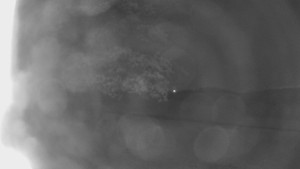 Bludný - Rajnochovice Troják - Bludný - Rajnochovice Troják - 16.4.2024 v 21:00 Bludný - Rajnochovice Troják - Bludný - Rajnochovice Troják - 16.4.2024 v 21:00