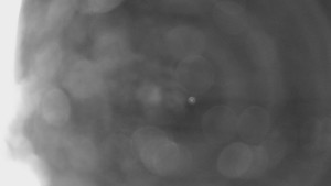 Bludný - Rajnochovice Troják - Bludný - Rajnochovice Troják - 16.4.2024 v 22:00 Bludný - Rajnochovice Troják - Bludný - Rajnochovice Troják - 16.4.2024 v 22:00