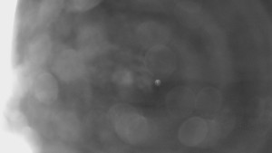 Bludný - Rajnochovice Troják - Bludný - Rajnochovice Troják - 16.4.2024 v 23:00 Bludný - Rajnochovice Troják - Bludný - Rajnochovice Troják - 16.4.2024 v 23:00