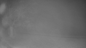 Bludný - Rajnochovice Troják - Bludný - Rajnochovice Troják - 19.4.2025 v 03:00 Bludný - Rajnochovice Troják - Bludný - Rajnochovice Troják - 19.4.2025 v 03:00