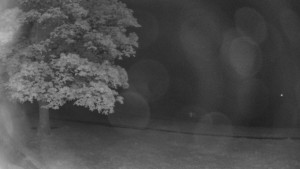 Bludný - Rajnochovice Troják - Bludný - Rajnochovice Troják - 18.5.2025 v 02:00 Bludný - Rajnochovice Troják - Bludný - Rajnochovice Troják - 18.5.2025 v 02:00