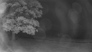 Bludný - Rajnochovice Troják - Bludný - Rajnochovice Troják - 18.5.2025 v 03:00 Bludný - Rajnochovice Troják - Bludný - Rajnochovice Troják - 18.5.2025 v 03:00