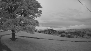 Bludný - Rajnochovice Troják - Bludný - Rajnochovice Troják - 18.5.2025 v 04:30 Bludný - Rajnochovice Troják - Bludný - Rajnochovice Troják - 18.5.2025 v 04:30