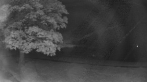 Bludný - Rajnochovice Troják - Bludný - Rajnochovice Troják - 18.5.2025 v 23:00 Bludný - Rajnochovice Troják - Bludný - Rajnochovice Troják - 18.5.2025 v 23:00