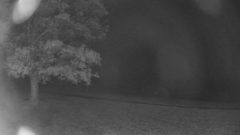 Snímek    27.10.2025 v 19:00