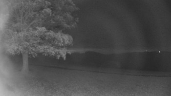 Snímek    30.10.2025 v 02:30