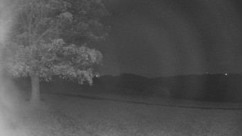 Snímek    31.10.2025 v 03:30