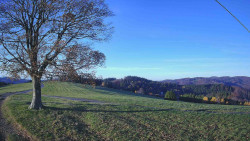 Bludný - Rajnochovice Troják