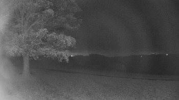 Snímek    1.11.2025 v 01:00