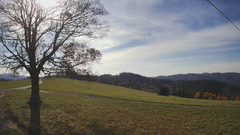 Snímek    1.11.2025 v 13:00