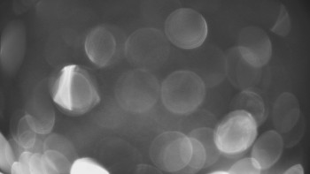 Snímek    3.11.2025 v 05:00