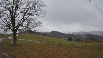 Snímek    3.11.2025 v 12:00