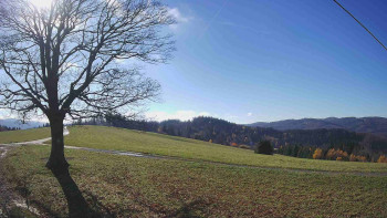 Snímek    4.11.2025 v 12:30