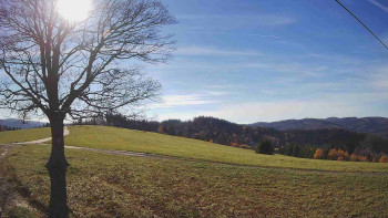 Snímek 5.11.2025 v 13:00