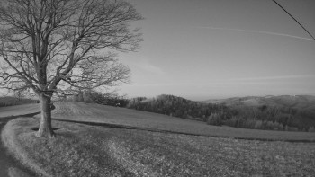 Snímek 6.11.2025 v 06:00