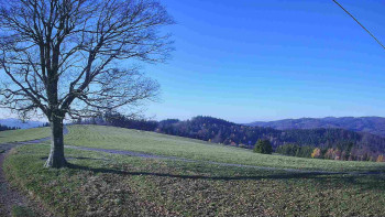 Snímek 6.11.2025 v 08:30