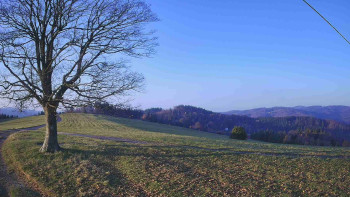 Snímek 7.11.2025 v 07:30