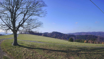 Snímek 7.11.2025 v 09:30