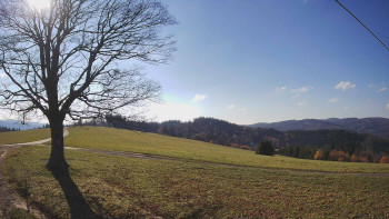 Snímek 7.11.2025 v 12:30